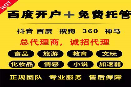 竞价排名在搜索引擎营销中的运用案例